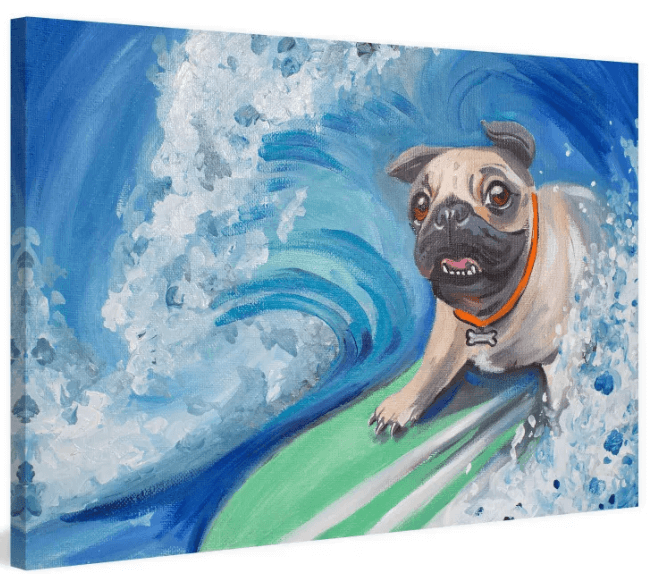 pug surfing